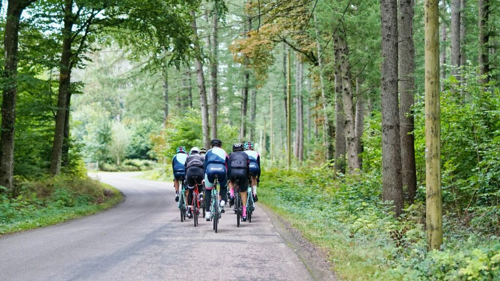 groupe de cyclistes dans une forêt